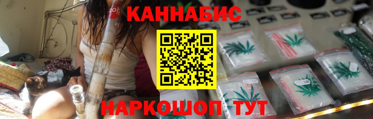 Канабис сатива Канаш